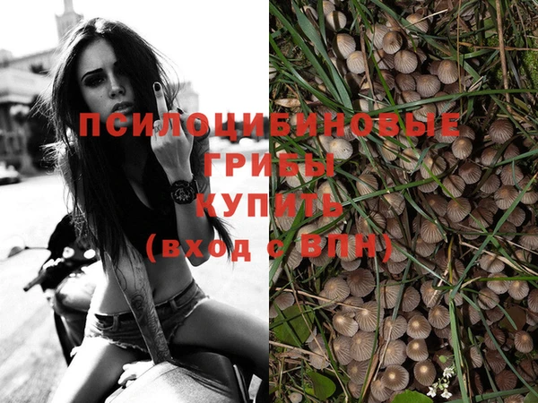 скорость Наволоки
