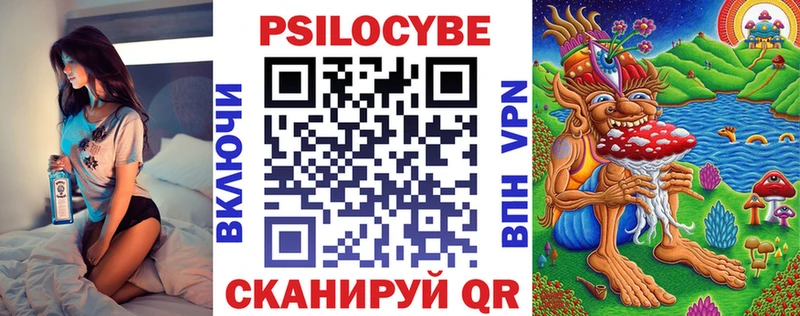 кракен tor  Чишмы  Псилоцибиновые грибы Psilocybe  darknet Telegram  закладки 